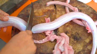 Thai Street Food: COBRA SNAKE MEAT | Bangkok, Thailand