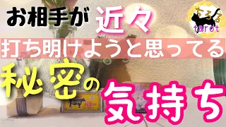 【そんな事思ってたなんて😌】お相手が近々打ち明けようと思ってる秘密の気持ち★恋愛タロット