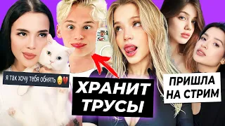 Даня хранит трусы Юли / Что с котом Вали? / Амина пришла на стрим Акулич