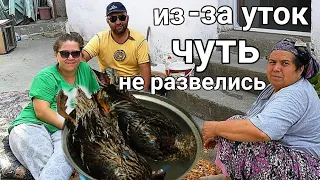 Турецкая СВЕКРОВЬ усложняет жизнь НЕВЕСТКЕ/русские не сдаются 🤣