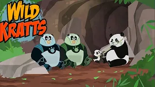 Wild Kratts Season 4 Episode 2 -- Panda Power Up (Full Episode)