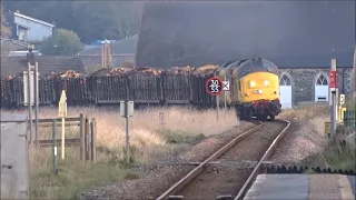 Timber Train passing through Borth and Ynyslas (29 April 2022)