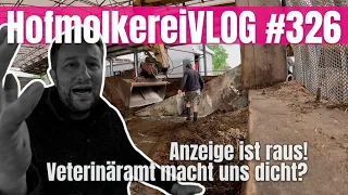 HofmolkereiVLOG#326: Anzeige ist raus…. Das Veterinäramt will uns dicht machen?