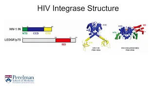 Applications of Light Scattering to HIV Integrase Structural Biology and Drug Discovery