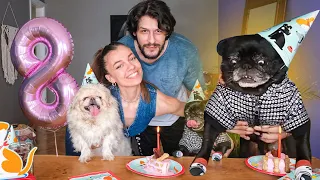 KÖPEKLERE SÜRPRİZ PASTALI  DOĞUM GÜNÜ PARTİSİ !