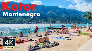 Kotor Montenegro 🇲🇪 4K Bay of Kotor Walking Tour June 2022