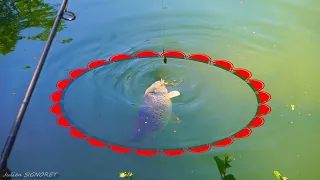 On aurai Jamais pensé faire un poisson pareil ICI (Carpe).