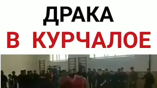 В Чечне на турнире по борьбе произошла массовая драка