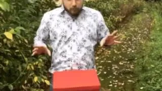 What's in the box?