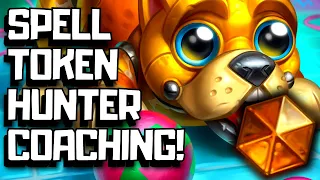 Spell Token Hunter Hearthstone Coaching In Whizbang!