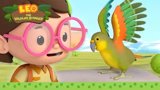 This BIRD is a THIEF!! 🐦🦹🏻 | Kea | Leo the Wildlife Ranger | Kids Cartoons