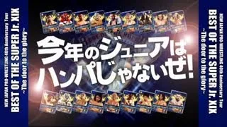 BEST OF THE SUPER  Jr. XIX ~The Door to the glory~ OP VTR