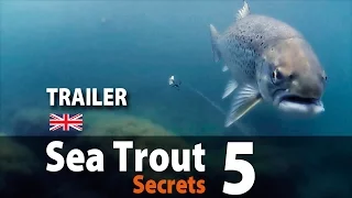 Sea Trout Secrets 5 Spin fishing • Trailer