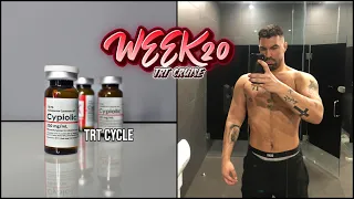 WEEK 20 TRT CRUISING CYCLE (8 WEEKS ON 500MG TRT REVIEW + WHAT I EAT IN A DAY)