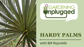 Gardening Unplugged - Hardy Palms with Bill Reynolds