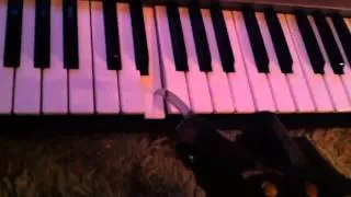 Nightmare on elm street theme piano