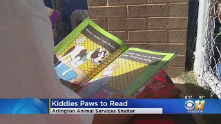 Kids Read To Dogs At Arlington Animal Shelter