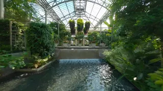 Fly Through the Conservatory: A Drone View of our 2020 Summer Display