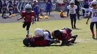 #1 IS UNSTOPPABLE #8U QC CHARGERS VS GATE CITY HORNETS #sportvideo #youthfootball #footballgame