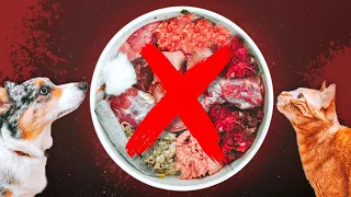 3 Reasons Why You Shouldn't Feed Your Pet Raw Food