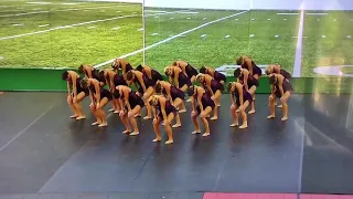 2018 The Ohio State University - UDA Home Routine