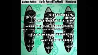 Various ‎– Surfin Around The World : Surf Punk Instro Rock & Roll Neo Revival Garage Bands Music LP