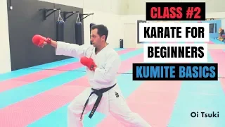 Martial Arts for Beginners – Lesson 2 / Karate Cobra Kai - Fighting Techniques