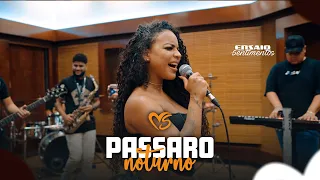 Banda Sentimentos - Pássaro noturno  (Ensaio Banda Sentimentos) #Cover