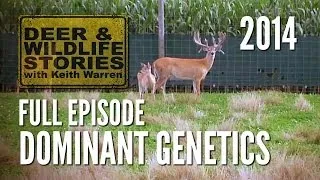 Dominant Genetics - Deer & Wildlife Stories | Deer Farming