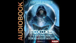 2002735 Аудиокнига. Новиков Николай "Похоже, я шизофреник, пожирающий магию. Книга 1"