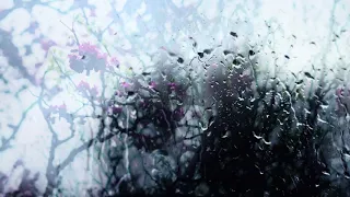 Rain Through The Window — Calm Ambience & Sound — (Birds, Rain & Thunder)