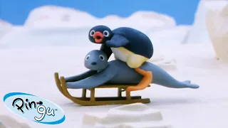 Pingu in the Snow ❄️ | Pingu - Official Channel | Cartoons For Kids