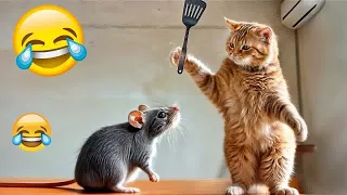 When a silly Cat becomes your best friend 🐶😸 Best Funny Animal Videos 2024 😅🐶