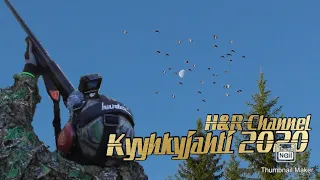 Kyyhkyn metsästys || 10.8.2020 || H&R-Channel