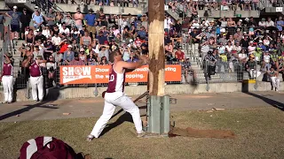 22.04.2019 275mmHandicap Tree Felling Contest