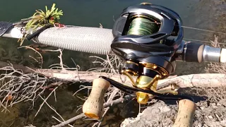 AliExpress Arise Baitcasting Reel Bass Fishing Cast Testing