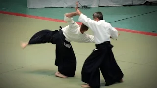 Aikikai Aikido - Seki Shoji Shihan - 54th All Japan Aikido Demonstration (2016)