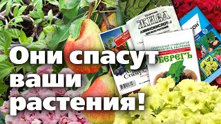 ОБЗОР ПРЕПАРАТОВ  - СТИМУЛЯТОРЫ РОСТА И АМИНОКИСЛОТЫ  Помогают даже в самых сложных ситуациях