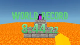 WORLD RECORD! Parkour Block 3D (8:42)