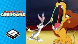 Tame a Lion | Looney Tunes  | Boomerang UK