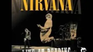 Nirvana - Live at Reading 1992 - (7) Come As You Are