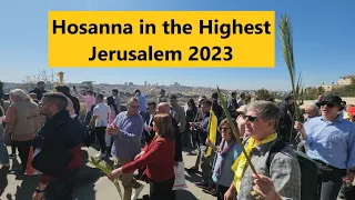 Jerusalem - Palm Sunday. Full documentation of the most important Palm Sunday procession