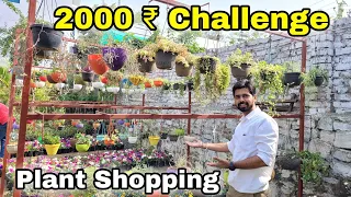 ₹2000/- Challenge plant Shopping & Nursery visit || The One Page