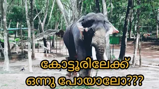 A trip to Kottoor Elephant Rehabilitation Centre|| travel vlog #kottoor #kottur