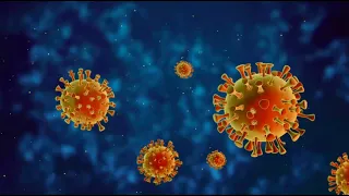An Introduction to the Coronavirus