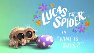 Lucas the Spider – What Is This? - Short