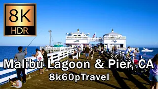 【8K】Best Malibu Lagoon and Pier (Turn Subtitles on for facts!) walk 8K 60fps HDR 8k Content