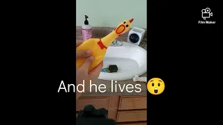 How long can a rubber chicken survive being drowned?