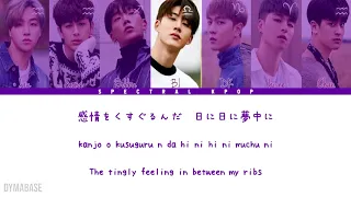 🎵 iKON (아이콘) - Love Scenario (ブシナリオ) [Japanese ver.] Color Coded Lyrics | Spectral KPOP