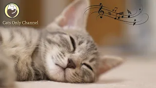 Music to Relax Cats - Deep Sleep Music, Stress Relief,  Relaxing Piano Music